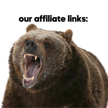 ours affiliate links